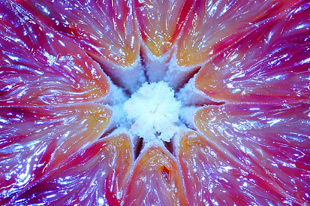 pulp fruit thumbnail