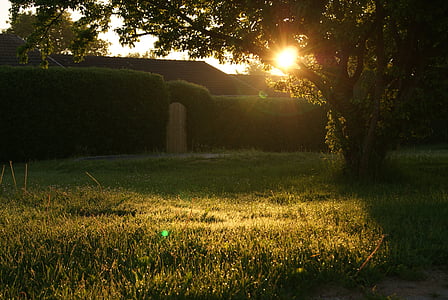 house under sunrays thumbnail