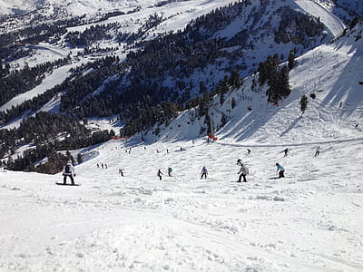 Person Riding on Snowboard on the Snow during Daytime thumbnail
