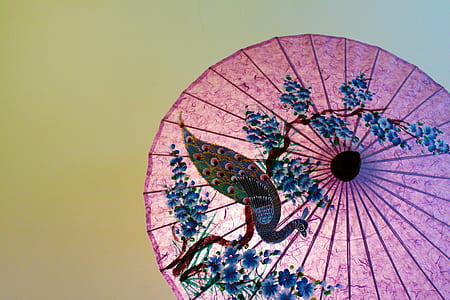 pink and blue peacock painting print floral umbrella thumbnail