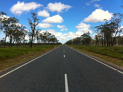 grey and white concrete highway between trees thumbnail