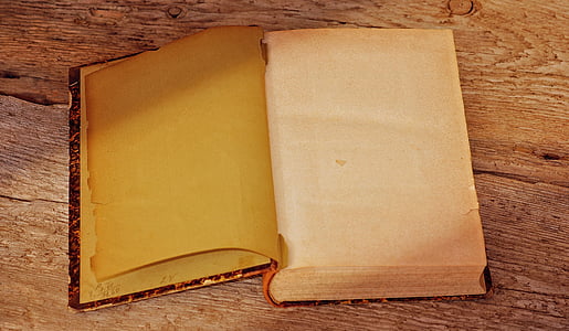 opened book on table thumbnail