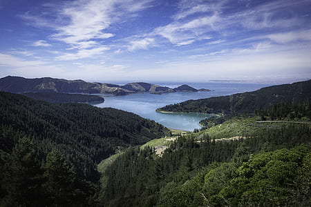 aerial photography of body of water surrounded by trees thumbnail