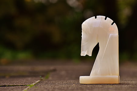 white horse chess piece on pavement thumbnail