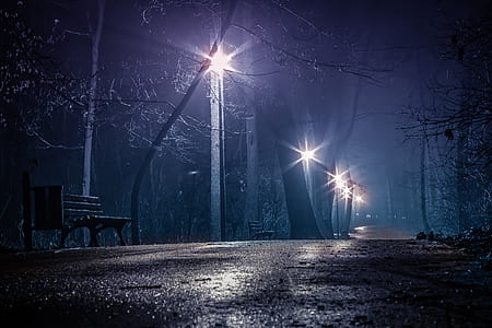 street with lamps during nighttime thumbnail