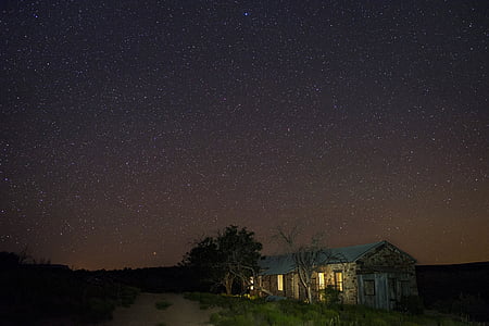gray wooden house in the middle of forest during night time thumbnail