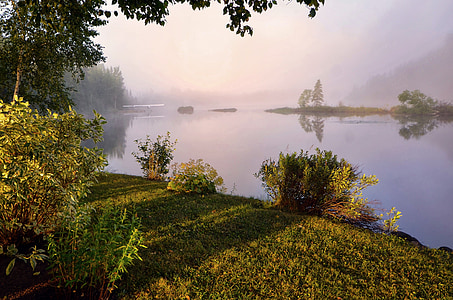 body of water surrounded by trees thumbnail