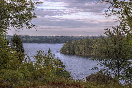 Body of Water Surrounded by Trees at Daytime thumbnail