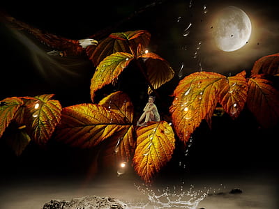 yellow and brown leaf with moon edited photo thumbnail