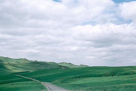mountain covered with green grasses thumbnail