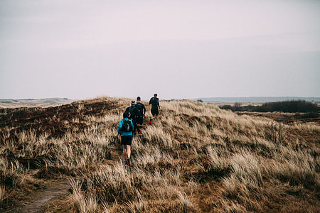 four people hiking on beige mountain thumbnail