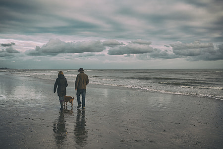 A couple walk their dog on a winter’s day on Camber Sands in East Sussex, England thumbnail