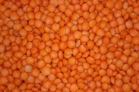 corn kernels thumbnail