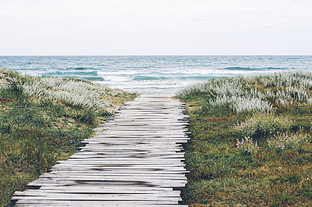 landscape photography of sea under cloudy sky thumbnail