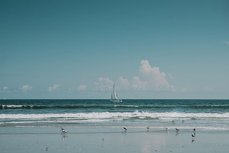sailboat near seashore during daytime thumbnail