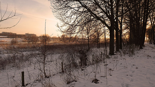 Blerick Aan De Maas, Winter Landscape thumbnail