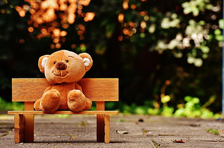brown bear plush toy on wooden bench thumbnail