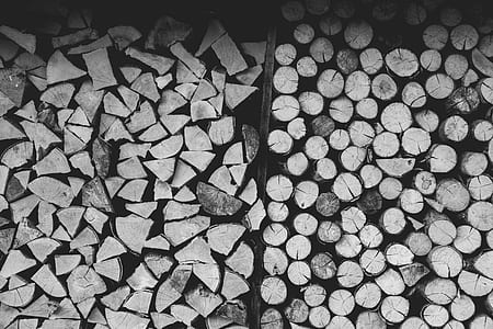 wood, timber, kindling, tree thumbnail