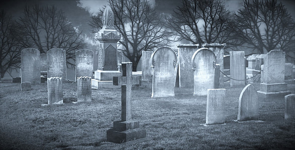 gravestones surrounded by bare trees during nighttime thumbnail