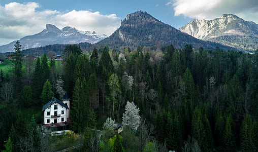 aerial photography of house surrounded with pine trees near mountain range thumbnail