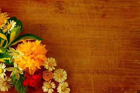 assorted-color petaled flower on brown wooden panel thumbnail
