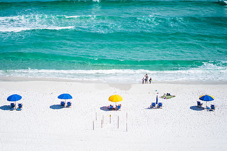 group of people in a beach thumbnail