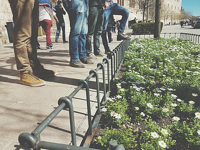 landscape, people, street, flowers thumbnail
