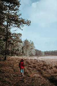 person wearing red jacket waking on brown grass thumbnail