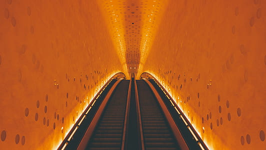 low-angle photography of escalators inside building thumbnail