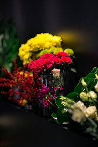 Red rowan with a colourful arrangement of flowers thumbnail