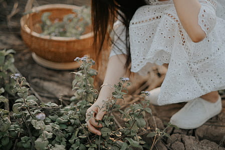 Person Wearing White Dress Holding Green Leaf thumbnail