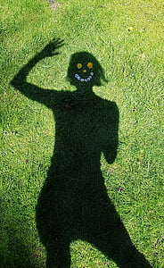 silhouette of person on grass thumbnail