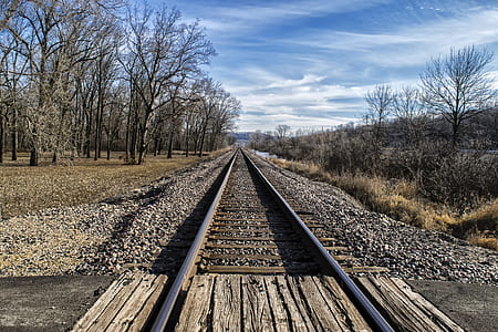 gray train tracks beside bare trees during daytime thumbnail