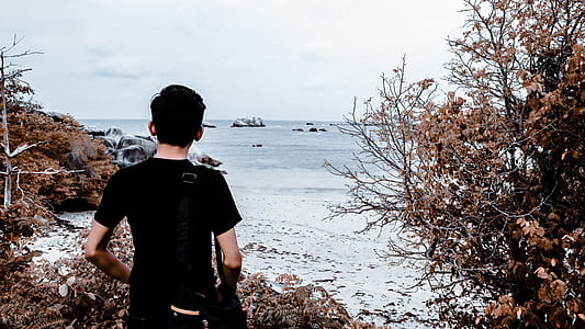 man standing near trees on beach thumbnail