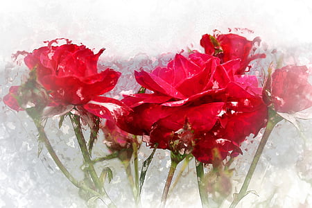selective focus photography of red roses thumbnail