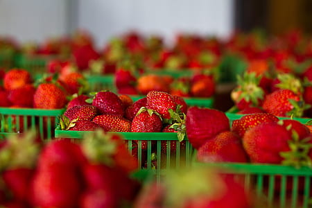 strawberries in green plastic baskets in tilt shift lens photography thumbnail