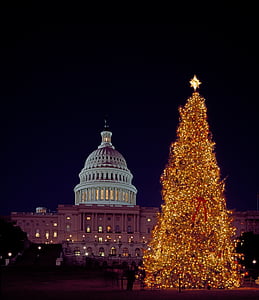 Christmas tree outside concrete building thumbnail