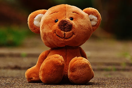 brown bear plush toy thumbnail