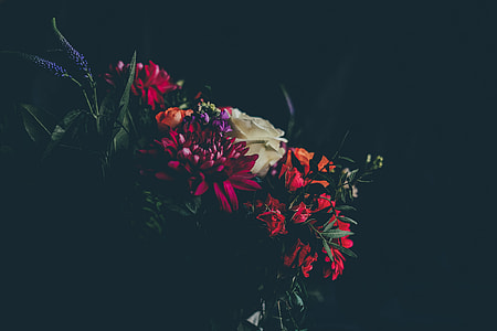 closeup photo of white Rose, red Dahlia bouquet thumbnail