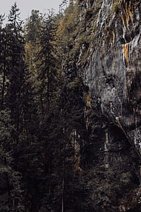 Predjama castle at the cave mouth in Postojna, Slovenia thumbnail