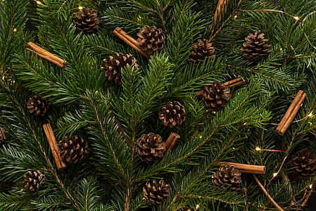 brown acorn ornament lot thumbnail