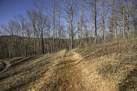 Dirt hiking trail landscape at Echo Bluff State Park, Missouri thumbnail