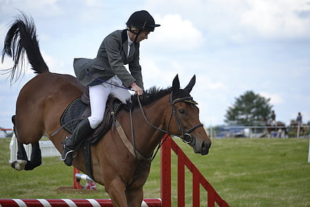 person riding on horse while galloping thumbnail