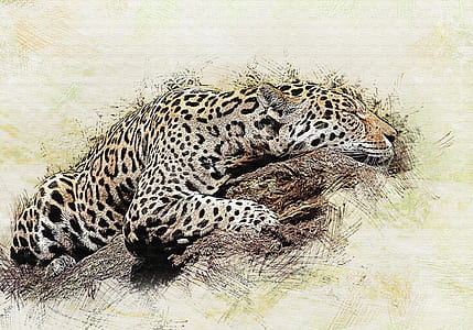leopard on wood thumbnail