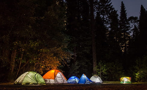 Six Camping Tents in Forest thumbnail