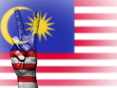 peace hand sign camouflaging on flag with crescent moon and sun thumbnail