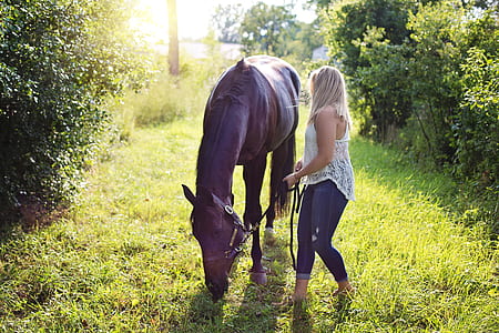 woman in white tops holding rope on horse thumbnail