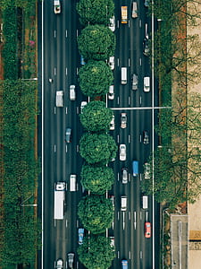 aerial view photo of vehicles on asphalt road in between trees thumbnail
