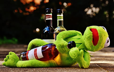 Kermit the frog holding wine bottle lying on ground thumbnail