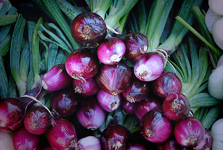 onion lot thumbnail